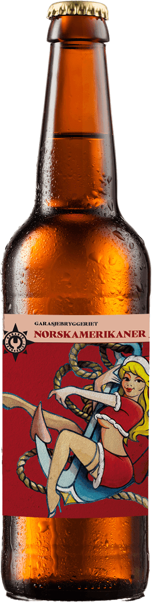 Norsk Amerikaner